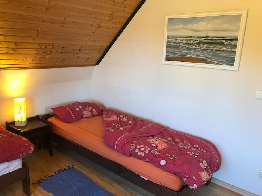 Trollhus - Grosses Familienfreundliches Ferienhaus Born Esterno foto