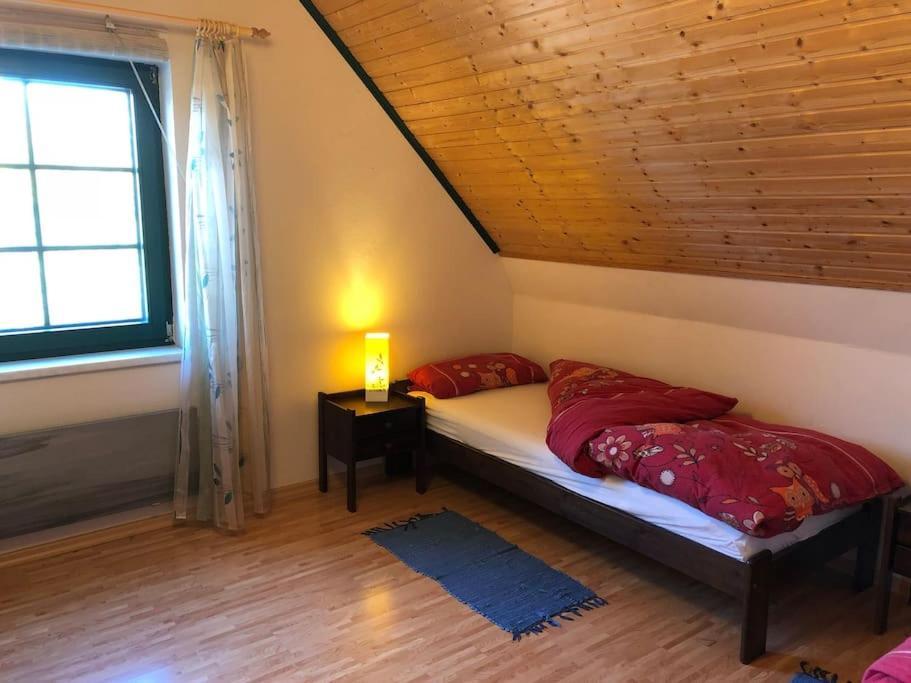 Trollhus - Grosses Familienfreundliches Ferienhaus Born Esterno foto