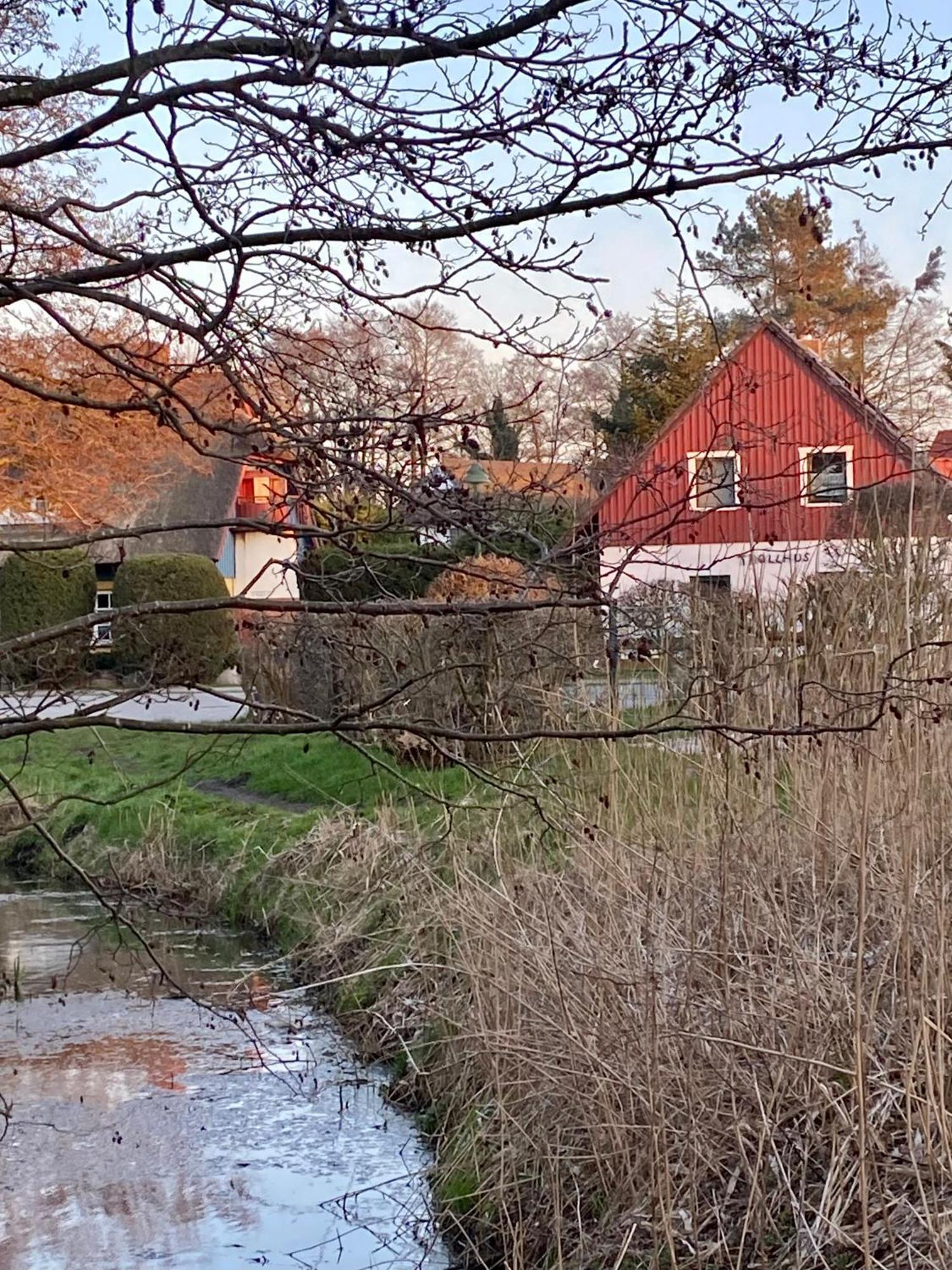 Trollhus - Grosses Familienfreundliches Ferienhaus Born Esterno foto